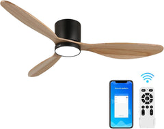 Robin reiga Indoor Ceiling Fan with Led Light & Remote Control MR Homes