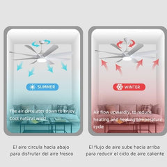 Flamingo Modern Design Indoor Fancy 8 Blade Remote Control LED Ceiling Fan Light MR Homes