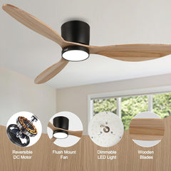Robin reiga Indoor Ceiling Fan with Led Light & Remote Control MR Homes