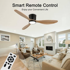 Robin reiga Indoor Ceiling Fan with Led Light & Remote Control MR Homes
