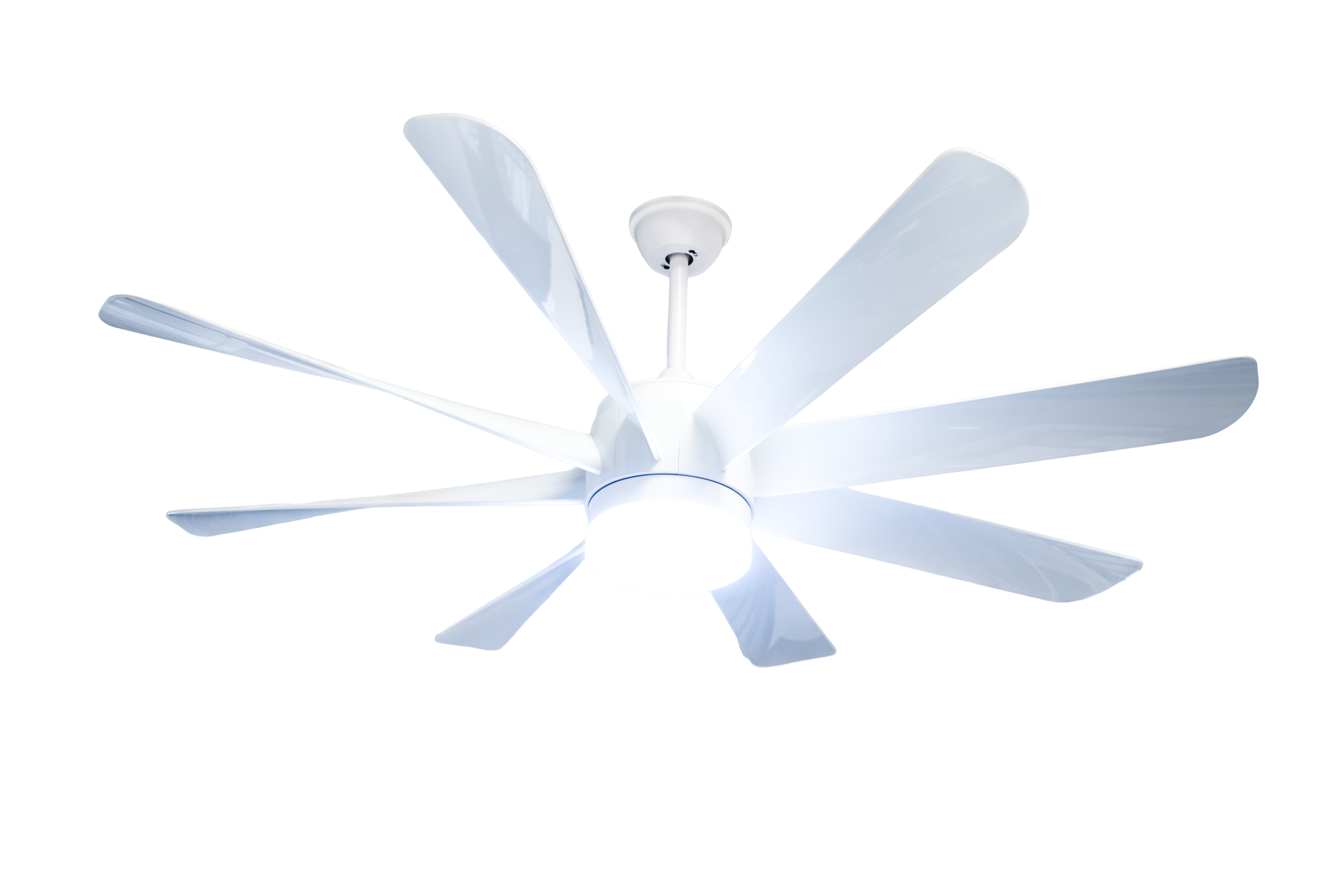 Flamingo Modern Design Indoor Fancy 8 Blade Remote Control LED Ceiling Fan Light MR Homes