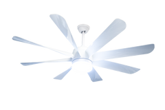 Flamingo Modern Design Indoor Fancy 8 Blade Remote Control LED Ceiling Fan Light MR Homes