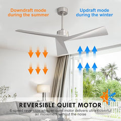 Tern DC Ceiling Fan without Lights, Brushed Nickel Ceiling Fan with Remote MR Homes