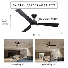 Hawk Ceiling Fan MR Homes