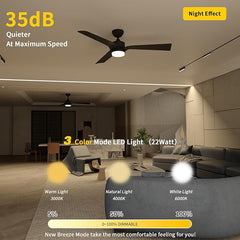 Hawk Ceiling Fan MR Homes