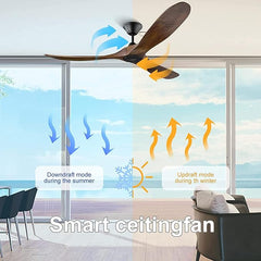 Ibis Ceiling Fan with Remote Control Forword & Reverse MR Homes