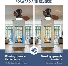 Myna LED Small Ceiling Fan with Lighting Reversible Quiet 6 Speed Ceiling Fan MR Homes