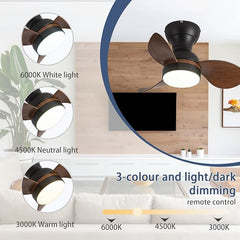 Myna LED Small Ceiling Fan with Lighting Reversible Quiet 6 Speed Ceiling Fan MR Homes