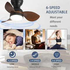 Myna LED Small Ceiling Fan with Lighting Reversible Quiet 6 Speed Ceiling Fan MR Homes