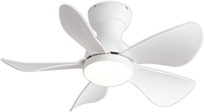 Prinia Ceiling Fan – 29 Inch, 5-Blade BLDC Motor with 6 Speeds & Remote Control MR Homes