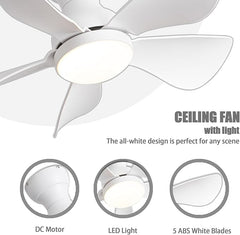 Prinia Ceiling Fan – 29 Inch, 5-Blade BLDC Motor with 6 Speeds & Remote Control MR Homes