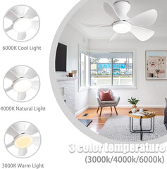 Prinia Ceiling Fan – 29 Inch, 5-Blade BLDC Motor with 6 Speeds & Remote Control MR Homes