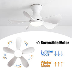 Prinia Ceiling Fan – 29 Inch, 5-Blade BLDC Motor with 6 Speeds & Remote Control MR Homes