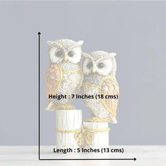 Owl Couple Showpiece for Home Decor - MR Homes